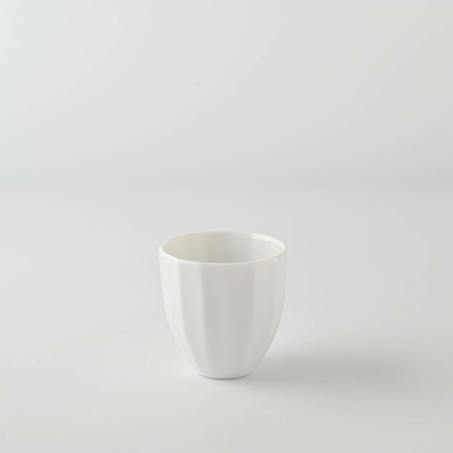 Miyama Hibiki Pure White Minoyaki Porcelain Sake Set