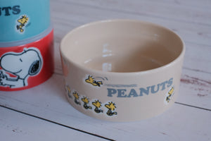 Peanuts Snoopy Japan Festive 4 Piece Ceramic Airtight Storage Container/ Lunch Canister