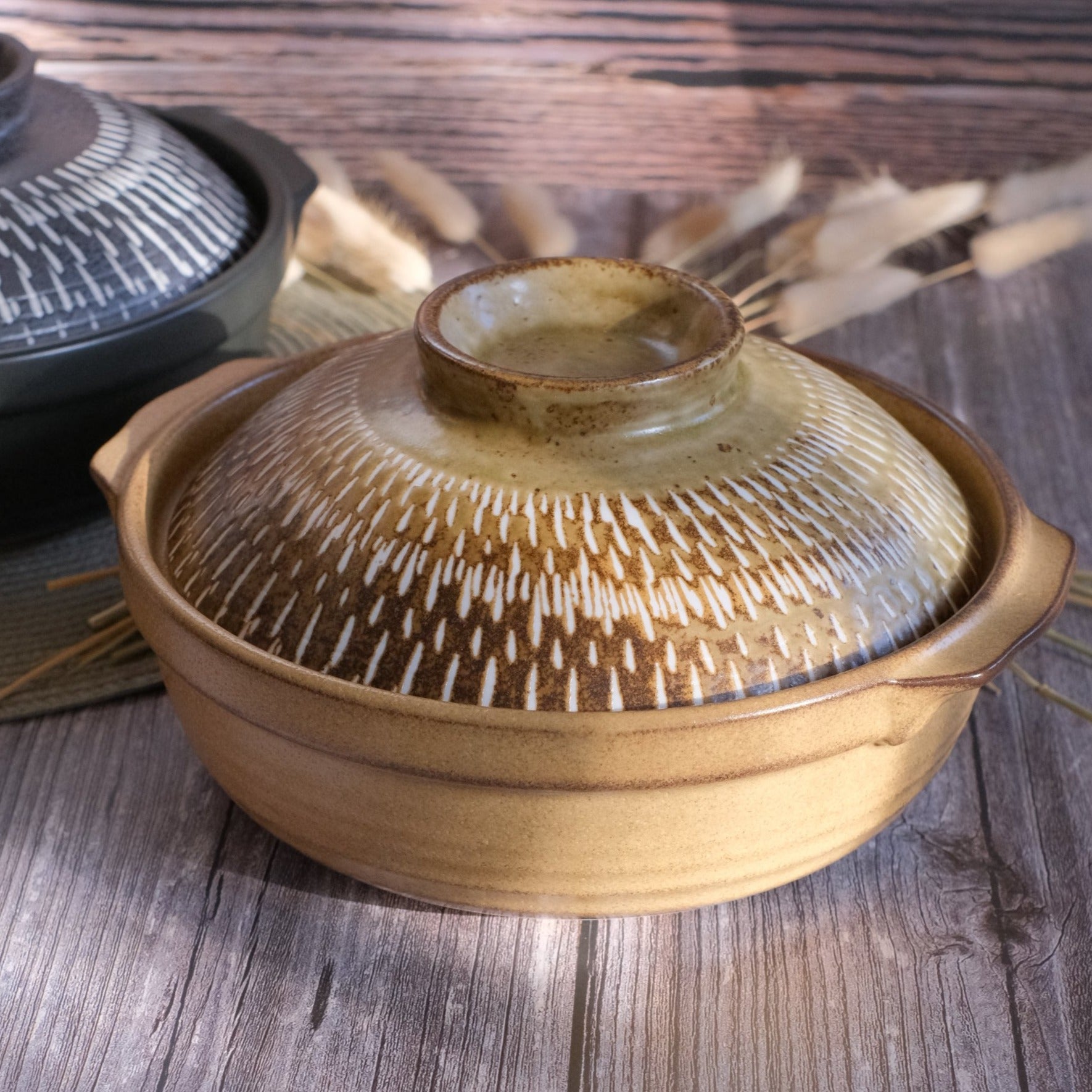 Tochiri Donabe Earthenware Clay Pot - Burnt Caramel