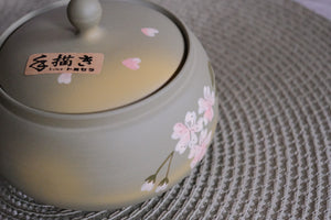 Tokoname Works Blushing Green Flat Sakura Branch Clay Teapot