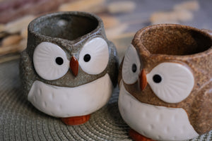 Minoyaki Owl Mater Natural Sesame Melange Pair Mugs