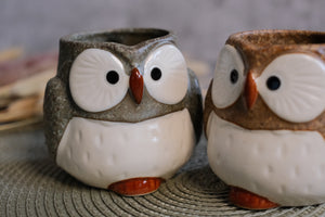 Minoyaki Owl Mater Natural Sesame Melange Pair Mugs