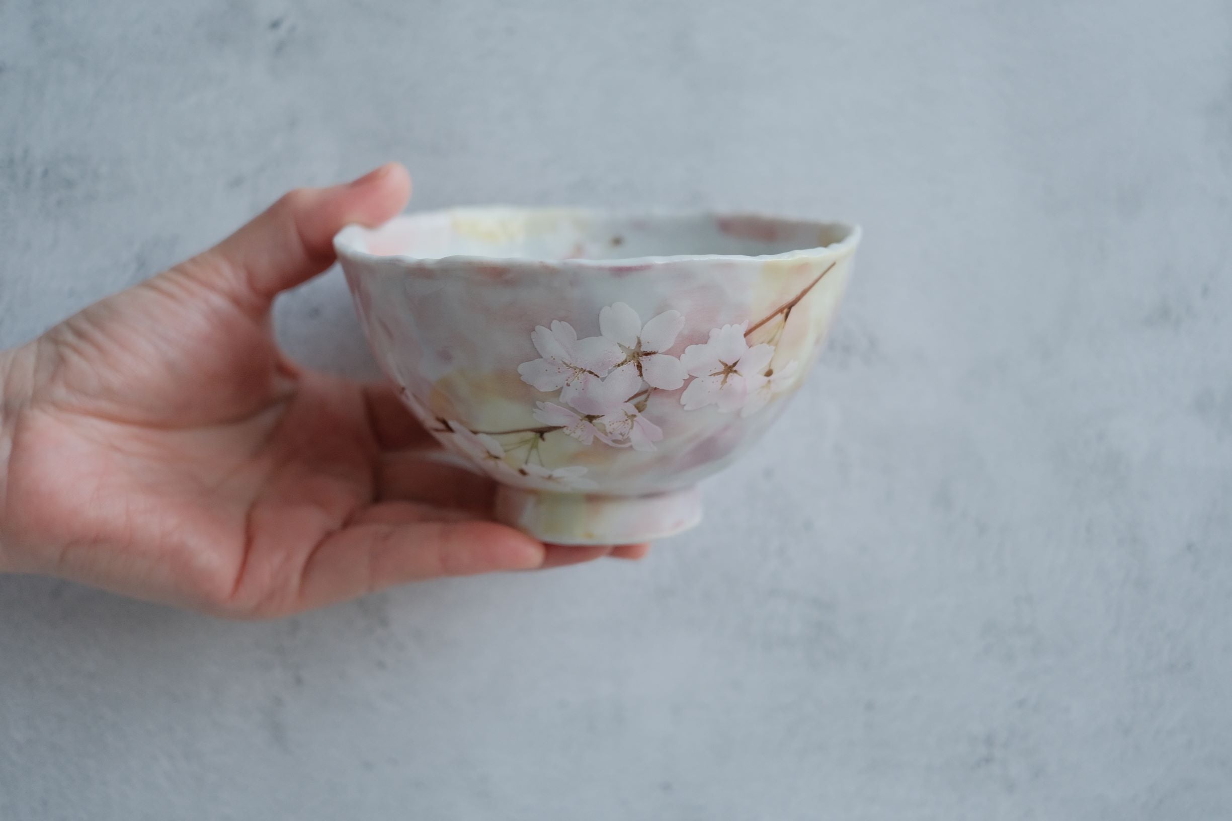 Minoyaki Hanami Bowl - Sakura Motif