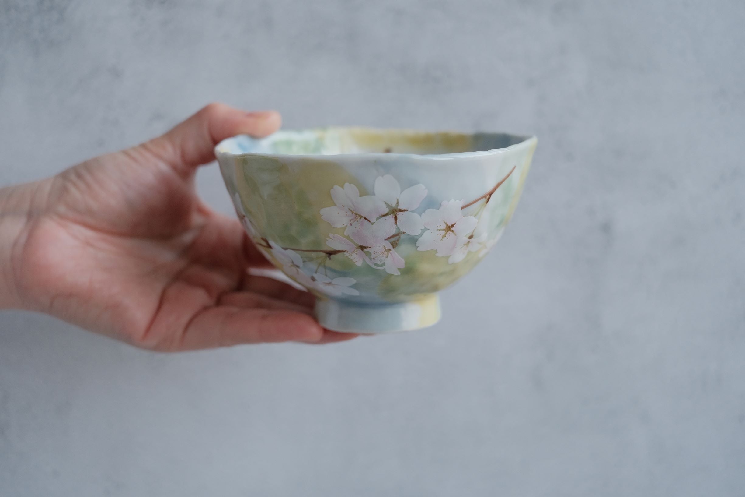 Minoyaki Hanami Bowl - Sakura Motif