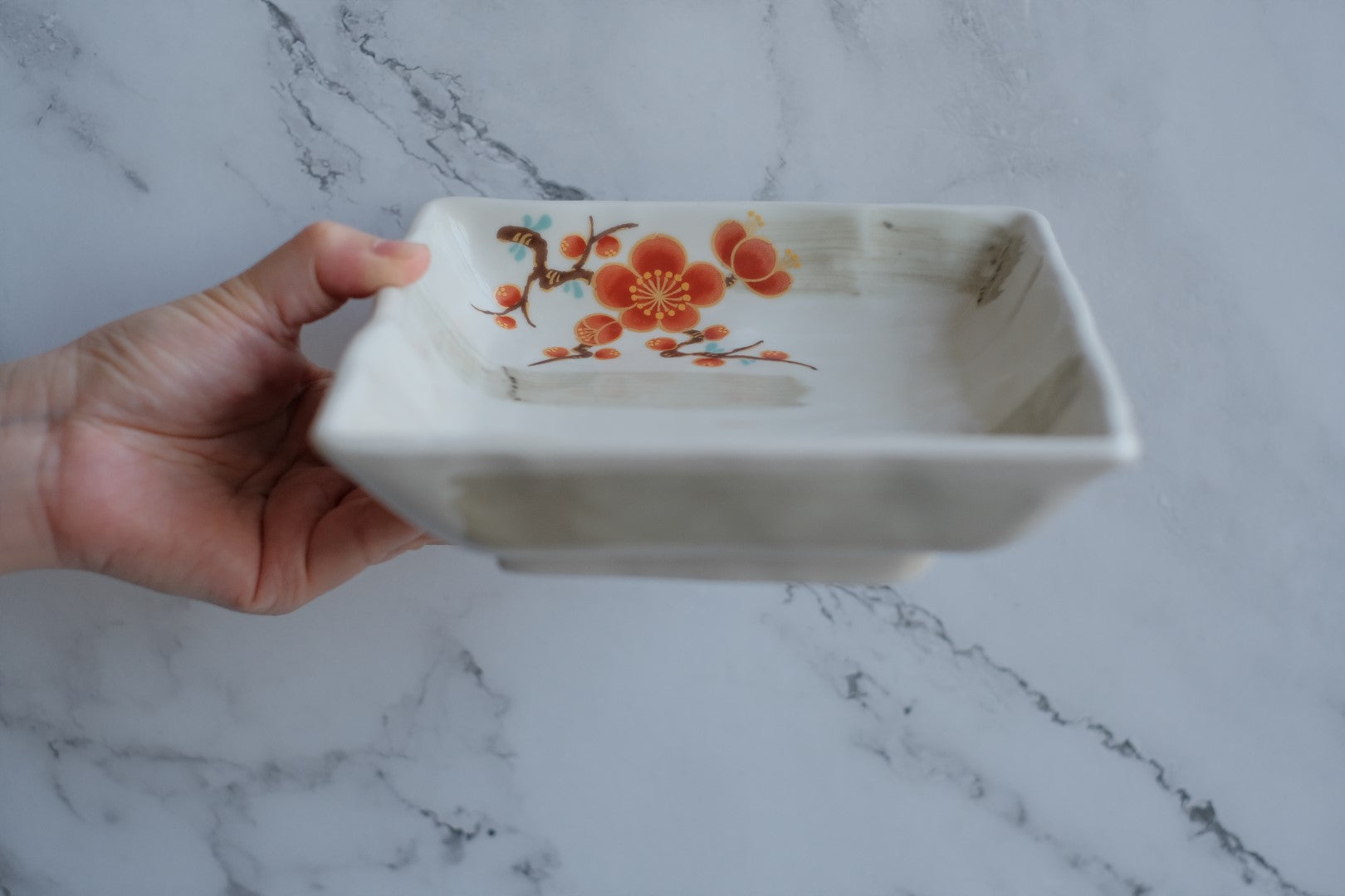 Aritayaki Floral Seifu Serveware Bowl & Plate Box Set