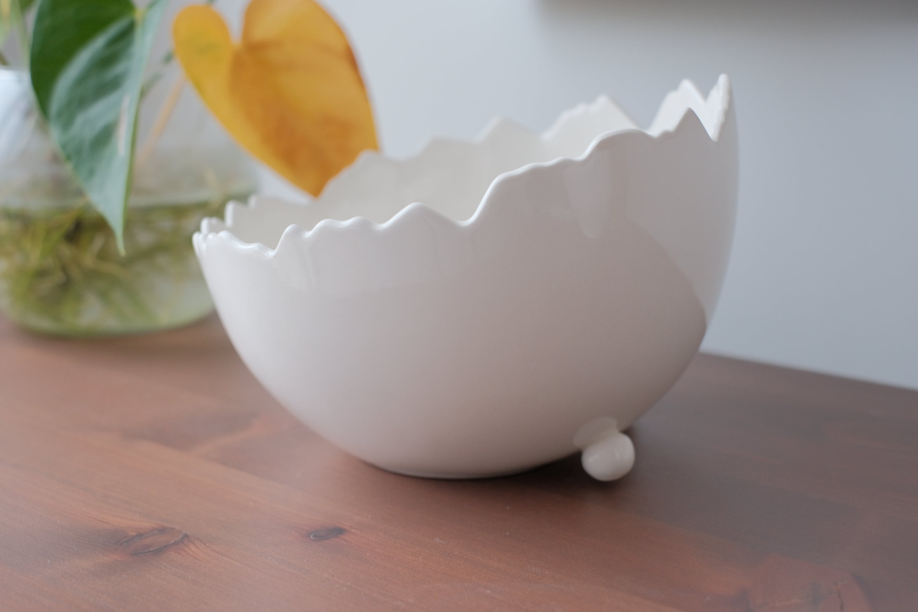 Pre-Order Cracked Egg Shell Terrarium Bowl