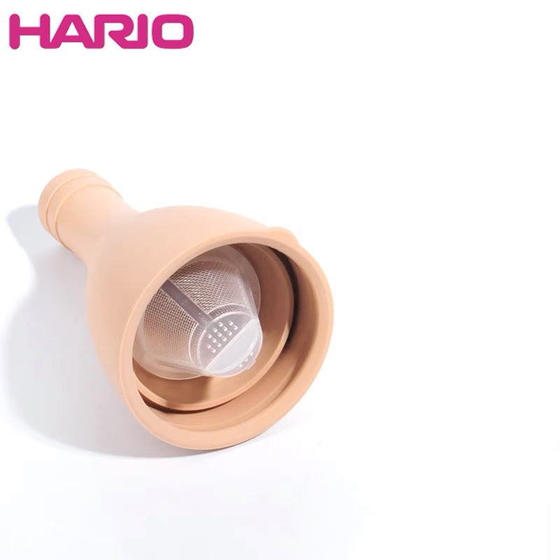 Hario Filter in Cold Brew Coffee Bottle